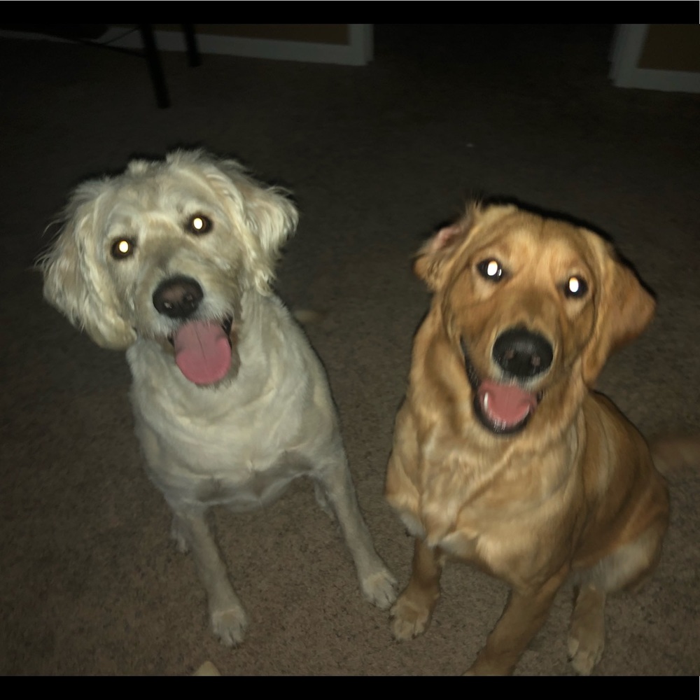 Meet your Posher, Amie